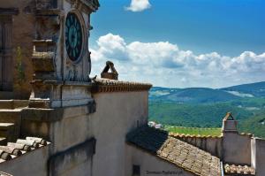 Estate in umbria 2014  - Amelia Piazza Marconi